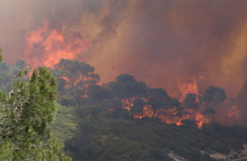 Ministries Partner to Respond to the Fires in Israel