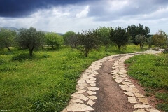 path_landscape