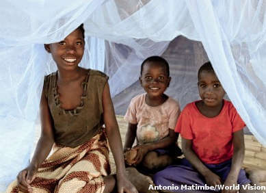 world-vision-mosquito-nets