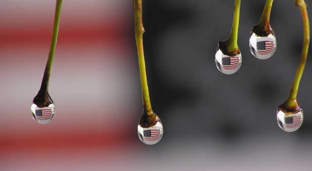 Flag reflected in droplet