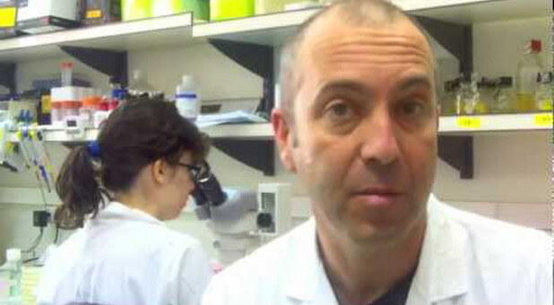 Israelis Make Progress in Treatment of Brain Diseases