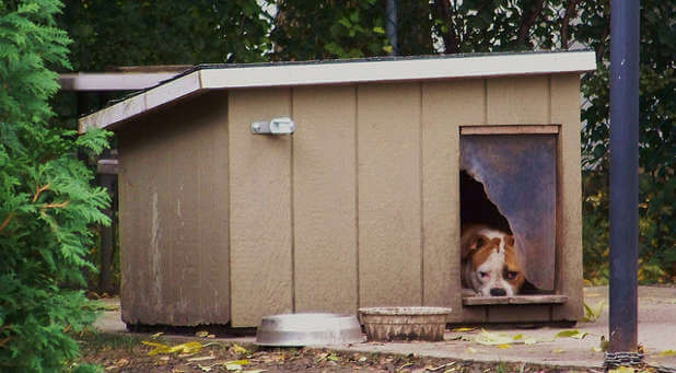 We all sometimes find ourselves in our wife's doghouse. Here's what to do to get out.