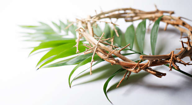 Moving From Palm Sunday to Change-the-World Monday
