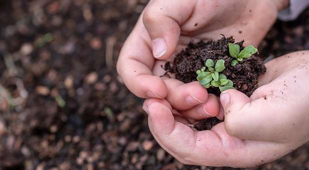 Biblical Keys to See Your Financial Seeds Sprout