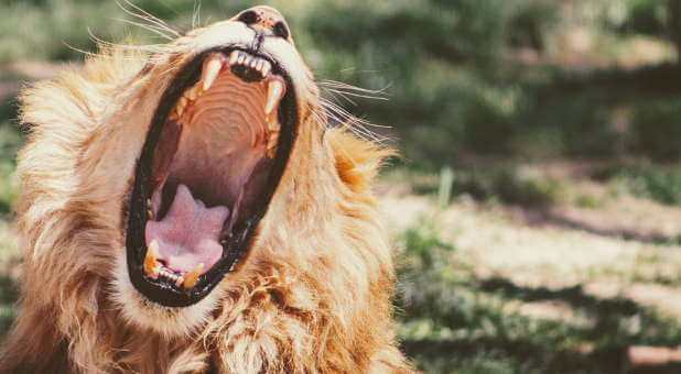 Spirit-Filled Evangelists: It’s Time to Roar in Your Wilderness