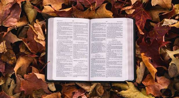 Don’t Buy Satan’s Lie: Fall in Love With God’s Word