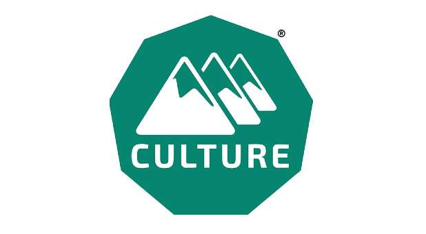 How You Define Culture
