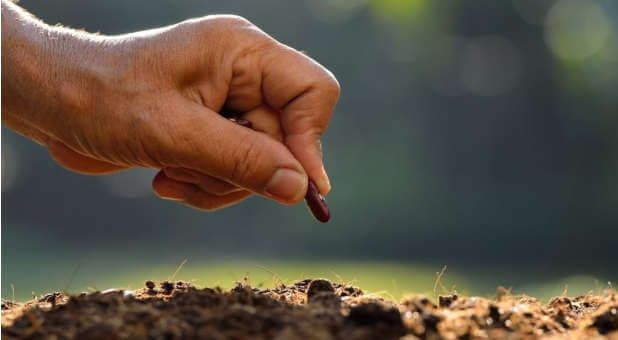 Haven’t Seen Your Breakthrough? Sow Some Seeds of Destiny