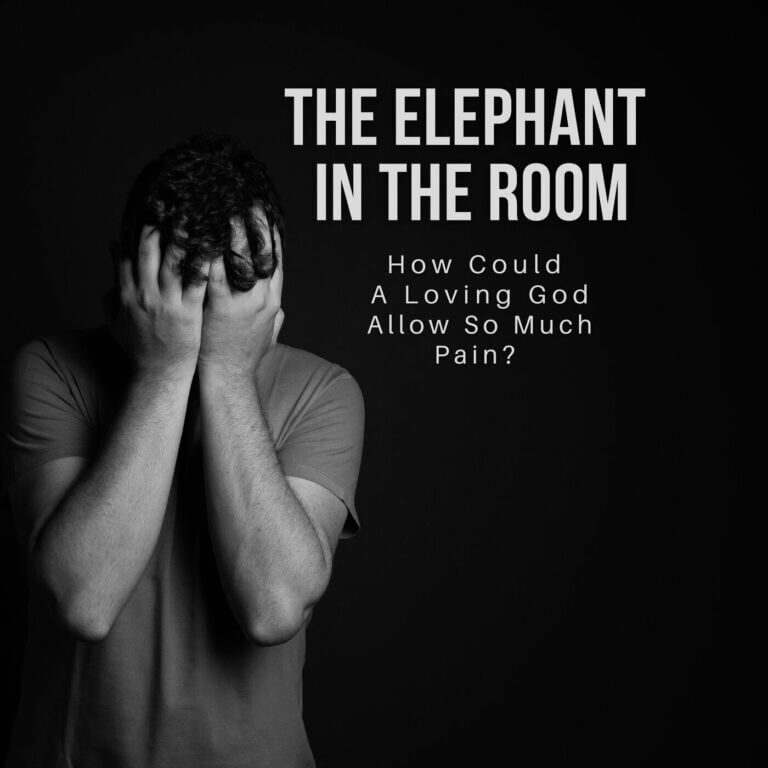 The Elephant in the Room | The ”Why?” – ”How?” of Suffering