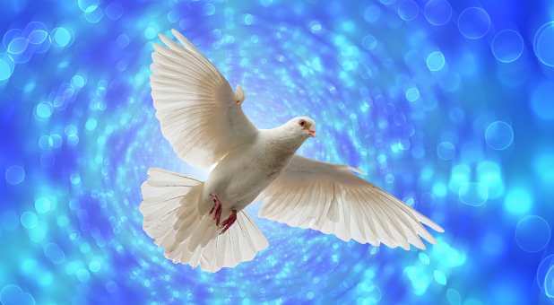 Why Is the Dove a Symbol of the Holy Spirit?