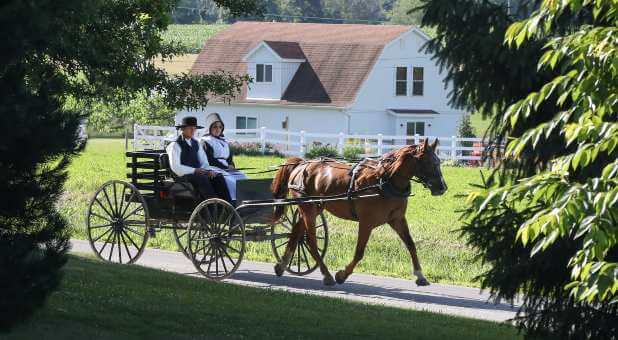 Amish and Mennonite Communities: God Has Remembered You