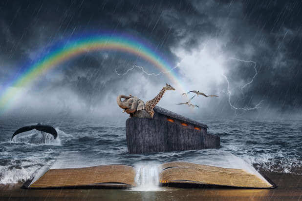 5 Things the Story of Noah Didn’t Teach That Many Do