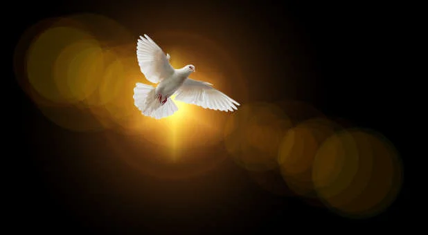 Marilyn Hickey: Move in the Gifts of the Holy Spirit and Be a Blessing