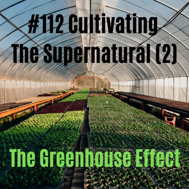 Cultivating the Supernatural: The Greenhouse Effect (2)