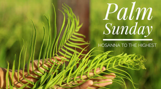 The Prophetic Significance of Palm Branches This Sunday